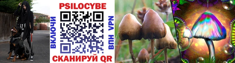 продажа наркотиков  Юрьевец  Псилоцибиновые грибы Cubensis 